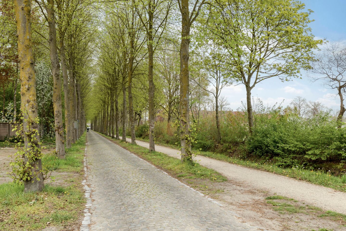 Foto 50 van Hoogstraat 44