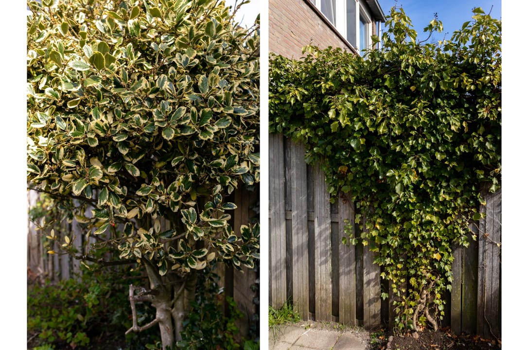 Foto 22 van Wijzend 36