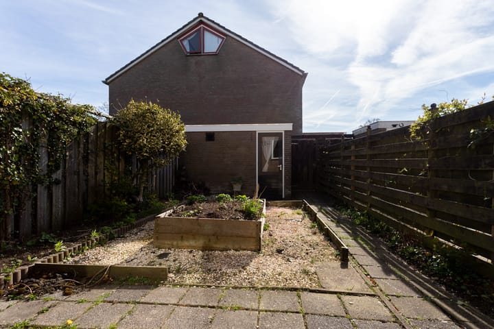 Foto 2 van Wijzend 36