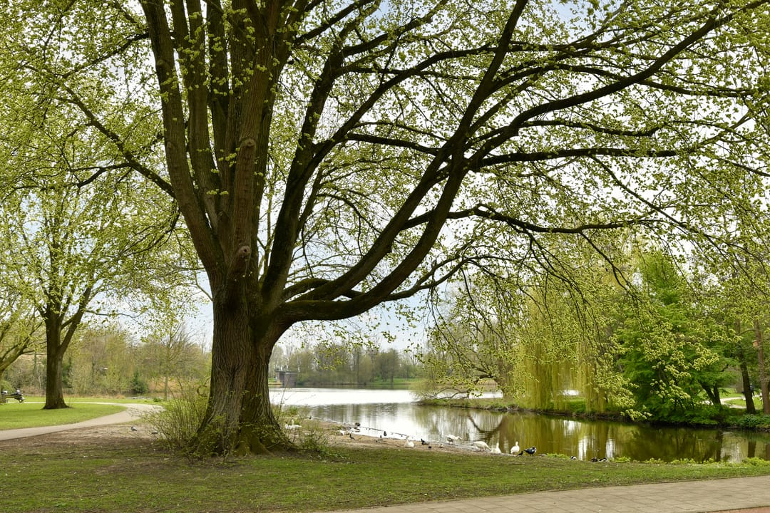 Foto 17 van Katrijpstraat 58