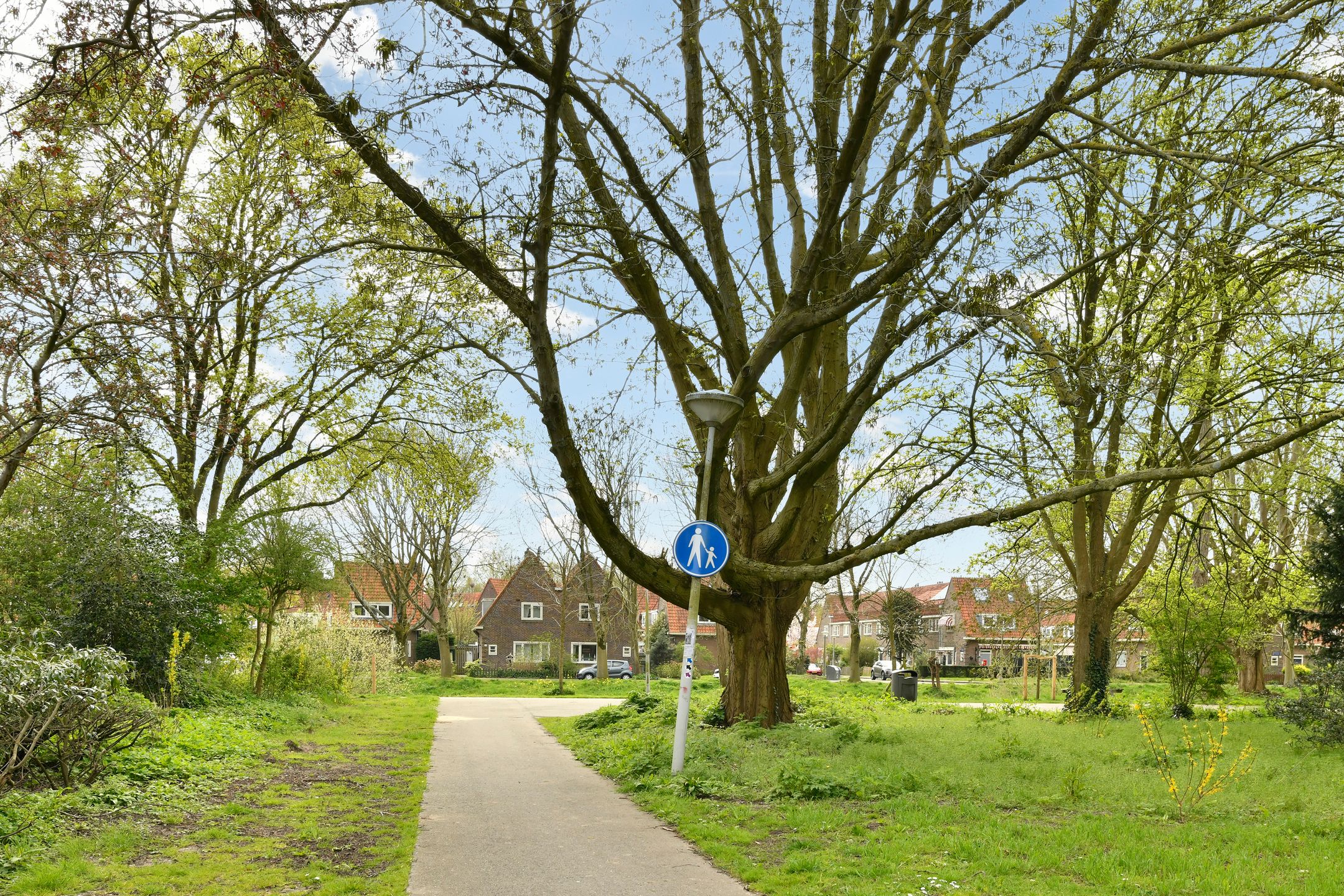 Foto 15 van Katrijpstraat 58