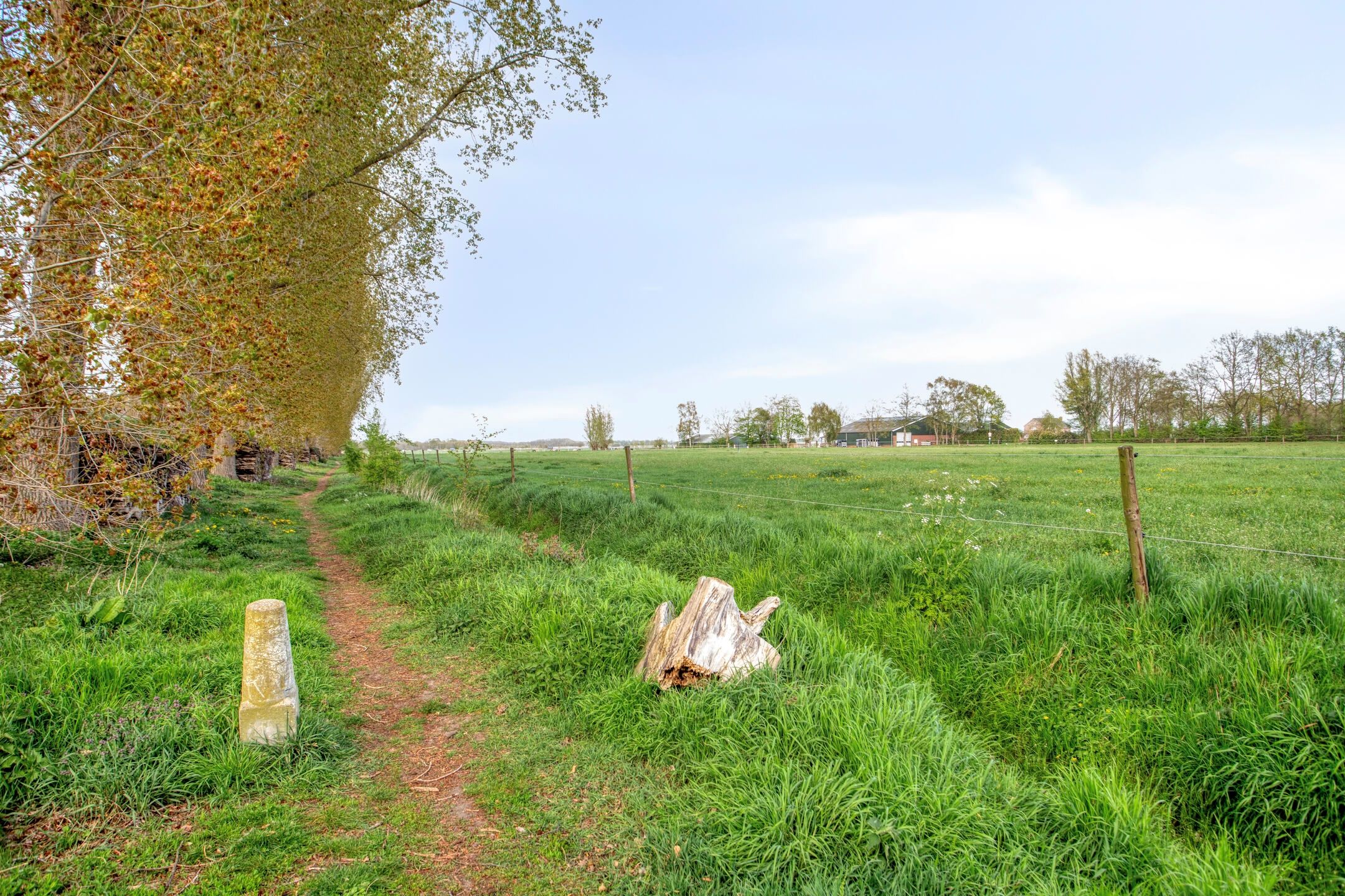 Foto 39 van Vierhoven 31