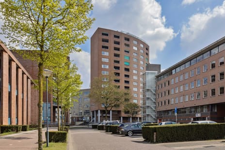 undefined main image