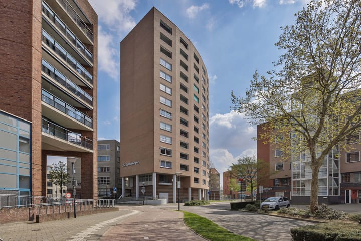 Photo 3 of de Callenburgh 100