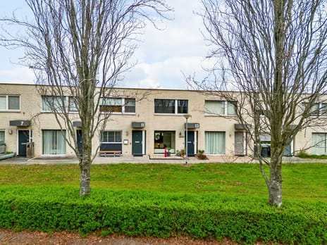 Botticelliplantsoen thumbnail