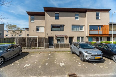 undefined main image