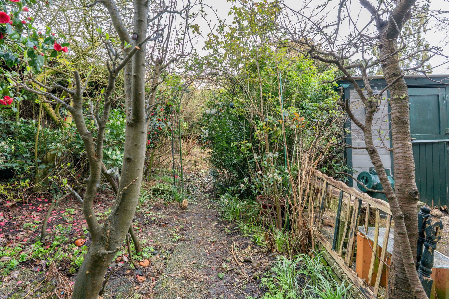 Foto 20 van Marnixlaan 54