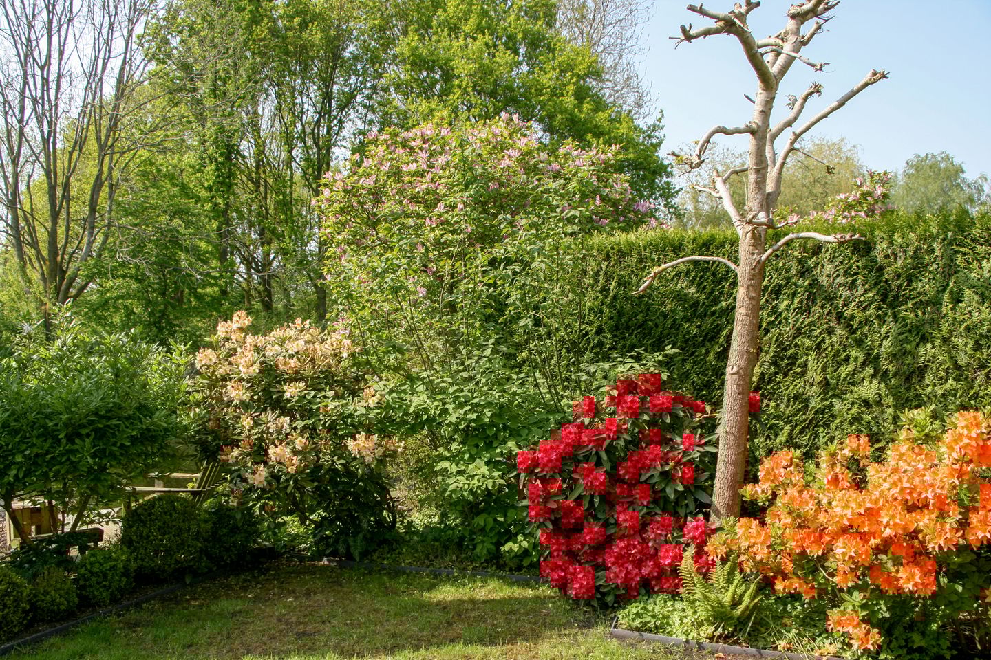 Photo 10 of Eendracht 23