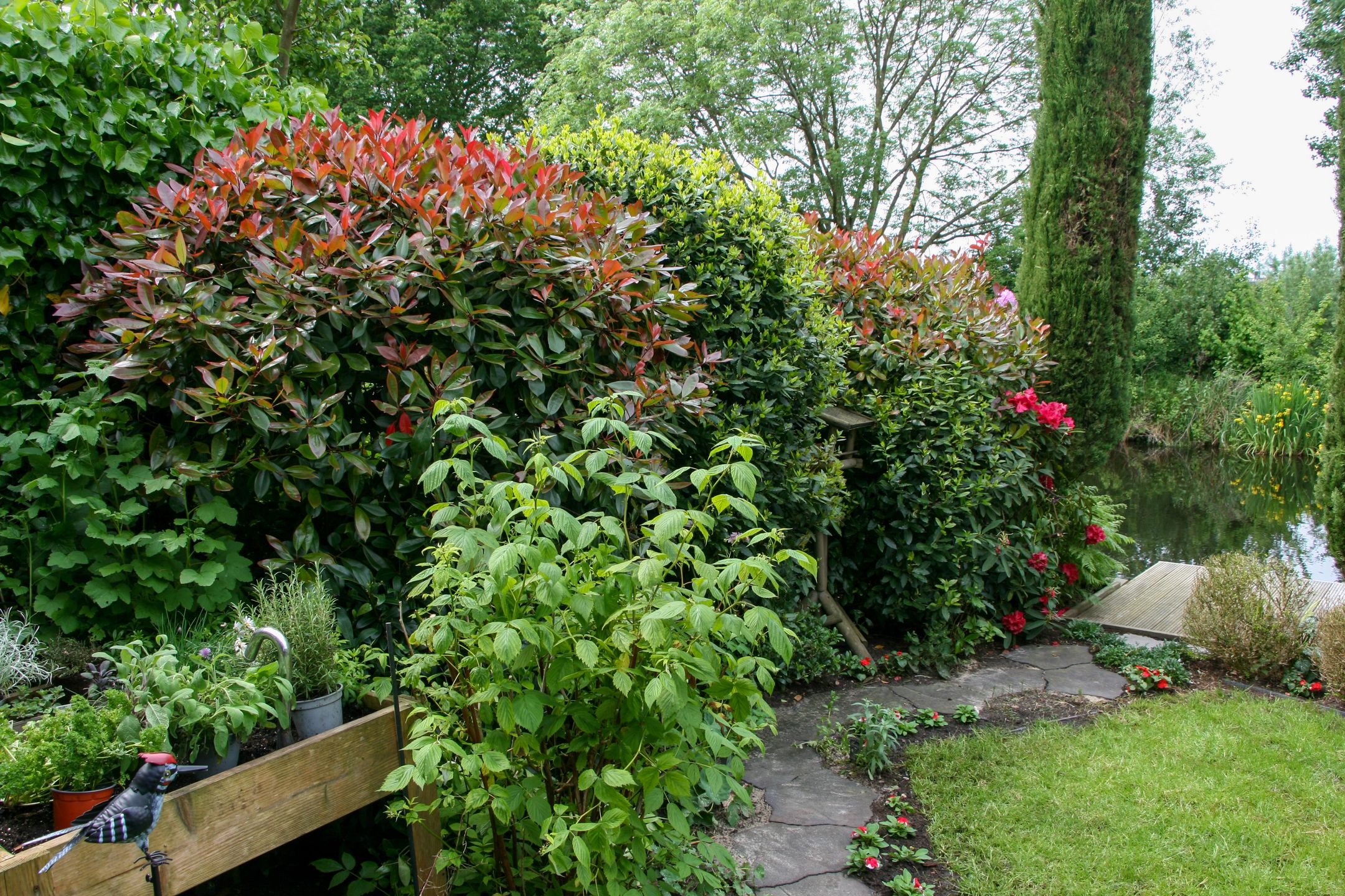 Photo 12 of Eendracht 23