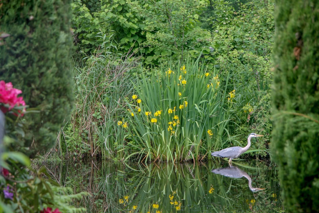 Photo 13 of Eendracht 23