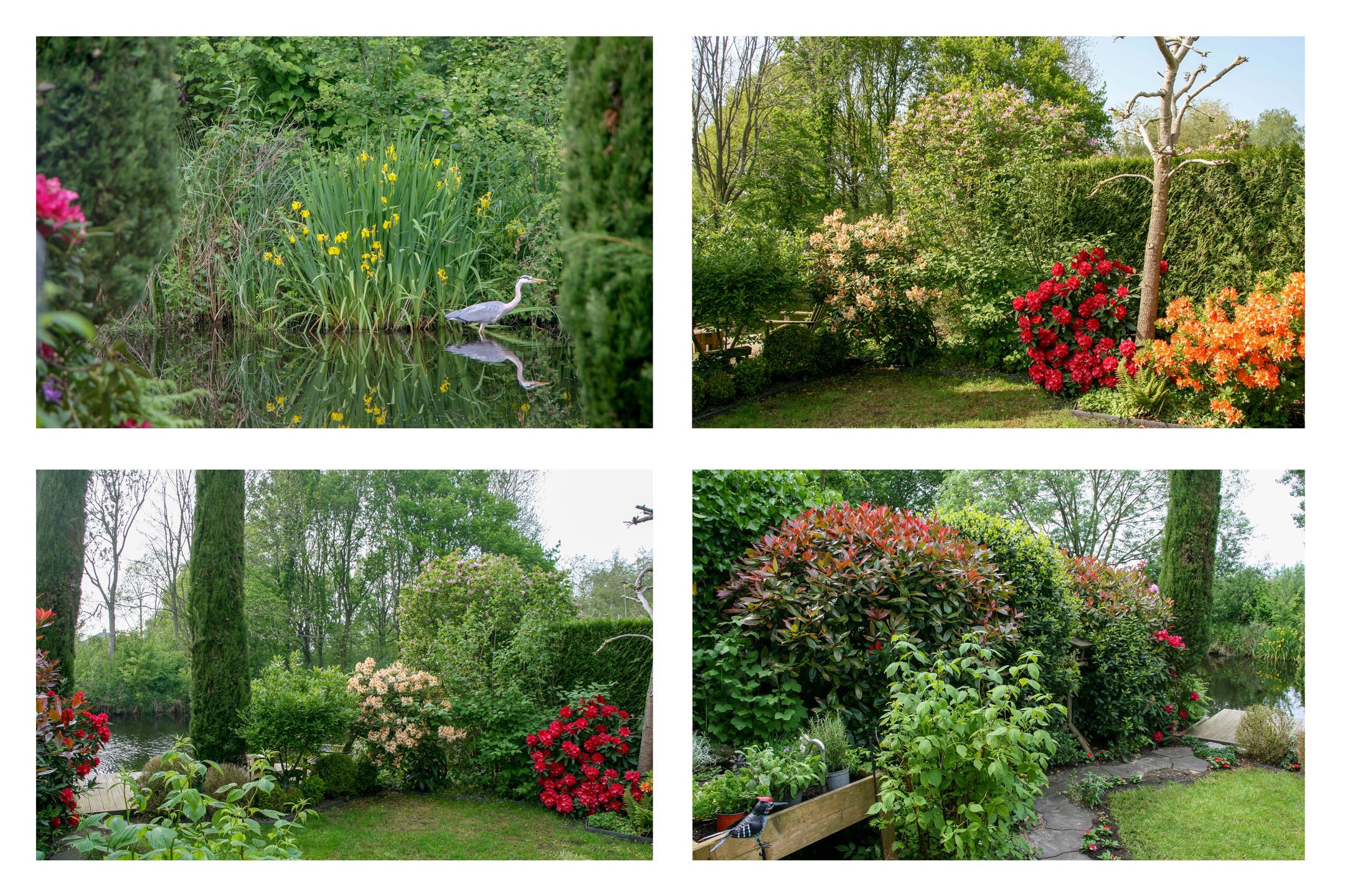 Photo 6 of Eendracht 23