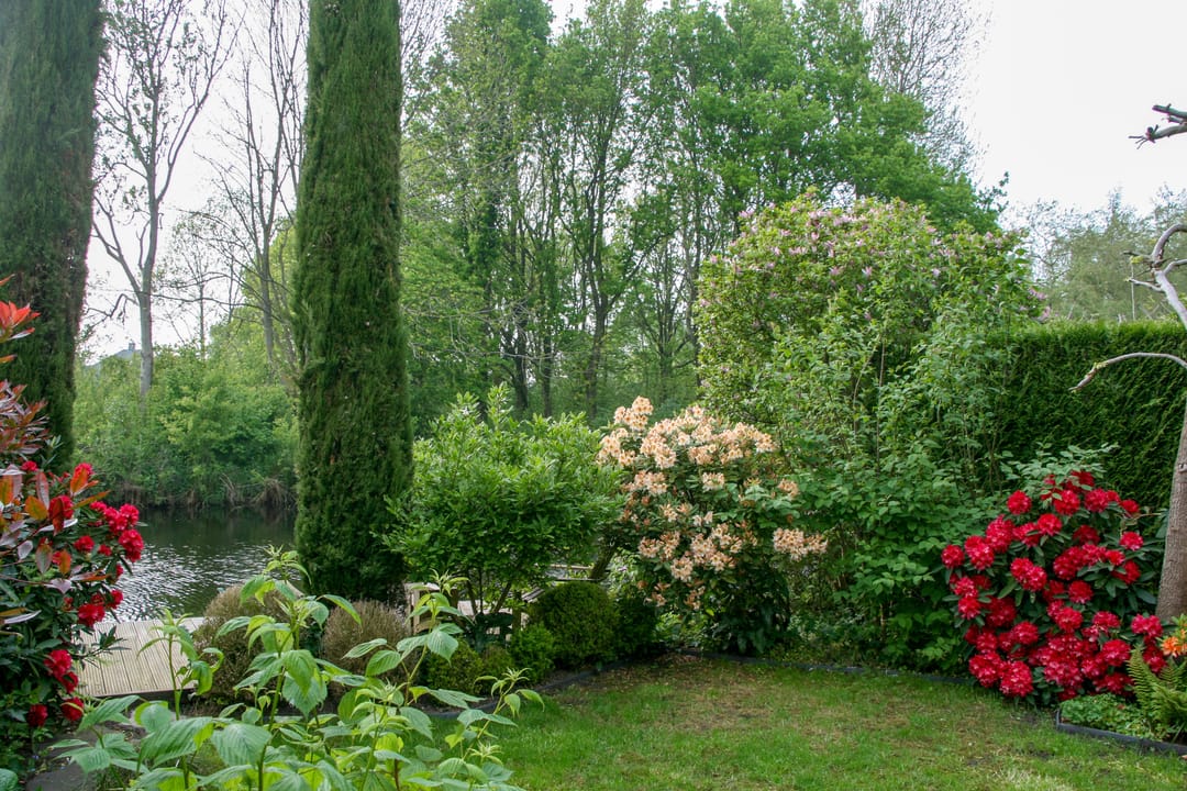 Photo 11 of Eendracht 23