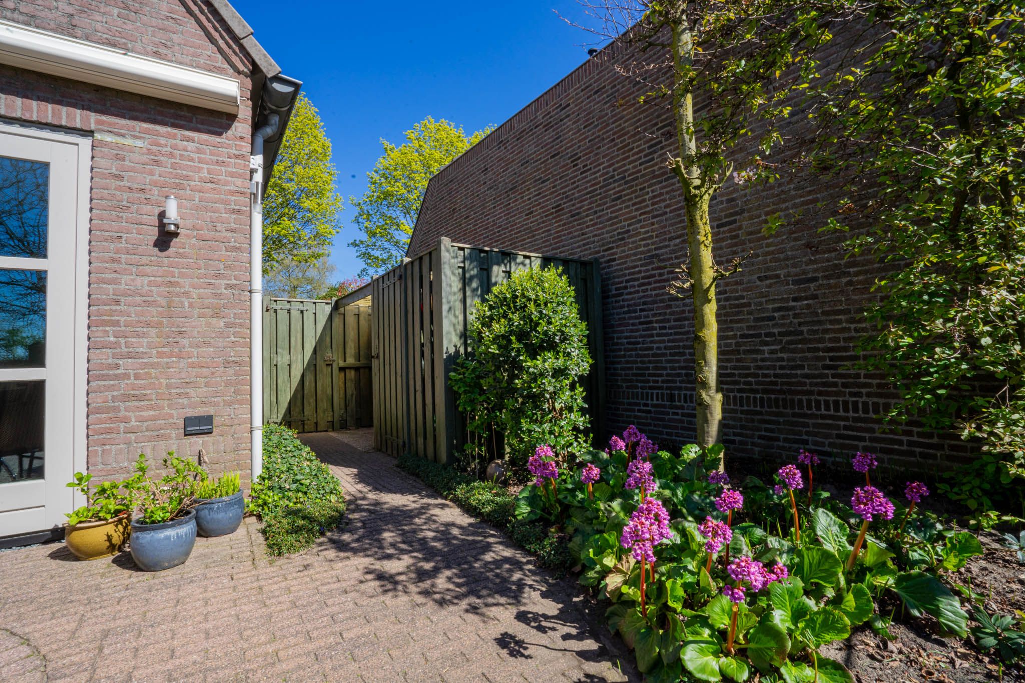 Foto 54 van Hagelkruis 44