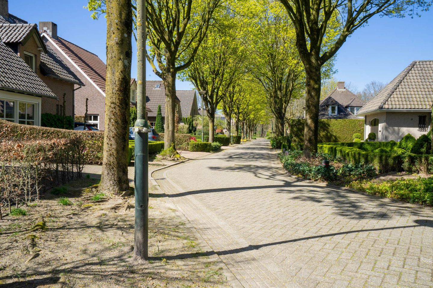 Foto 64 van Hagelkruis 44