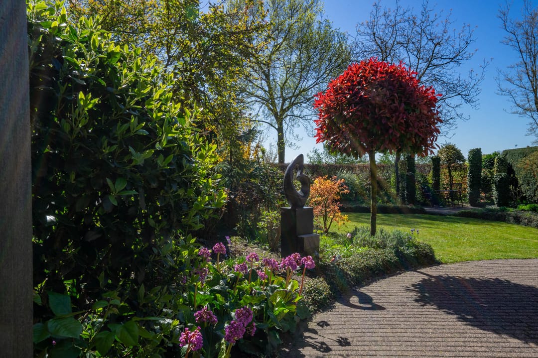 Foto 58 van Hagelkruis 44