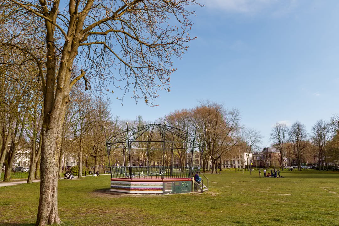 Foto 32 van Hieronymusplantsoen 10