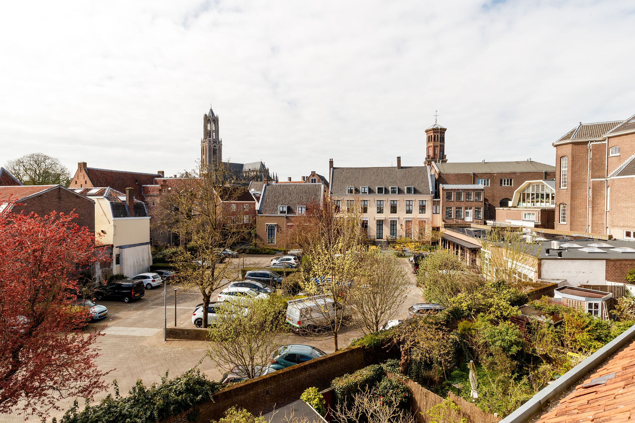 Foto 3 van Hieronymusplantsoen 10