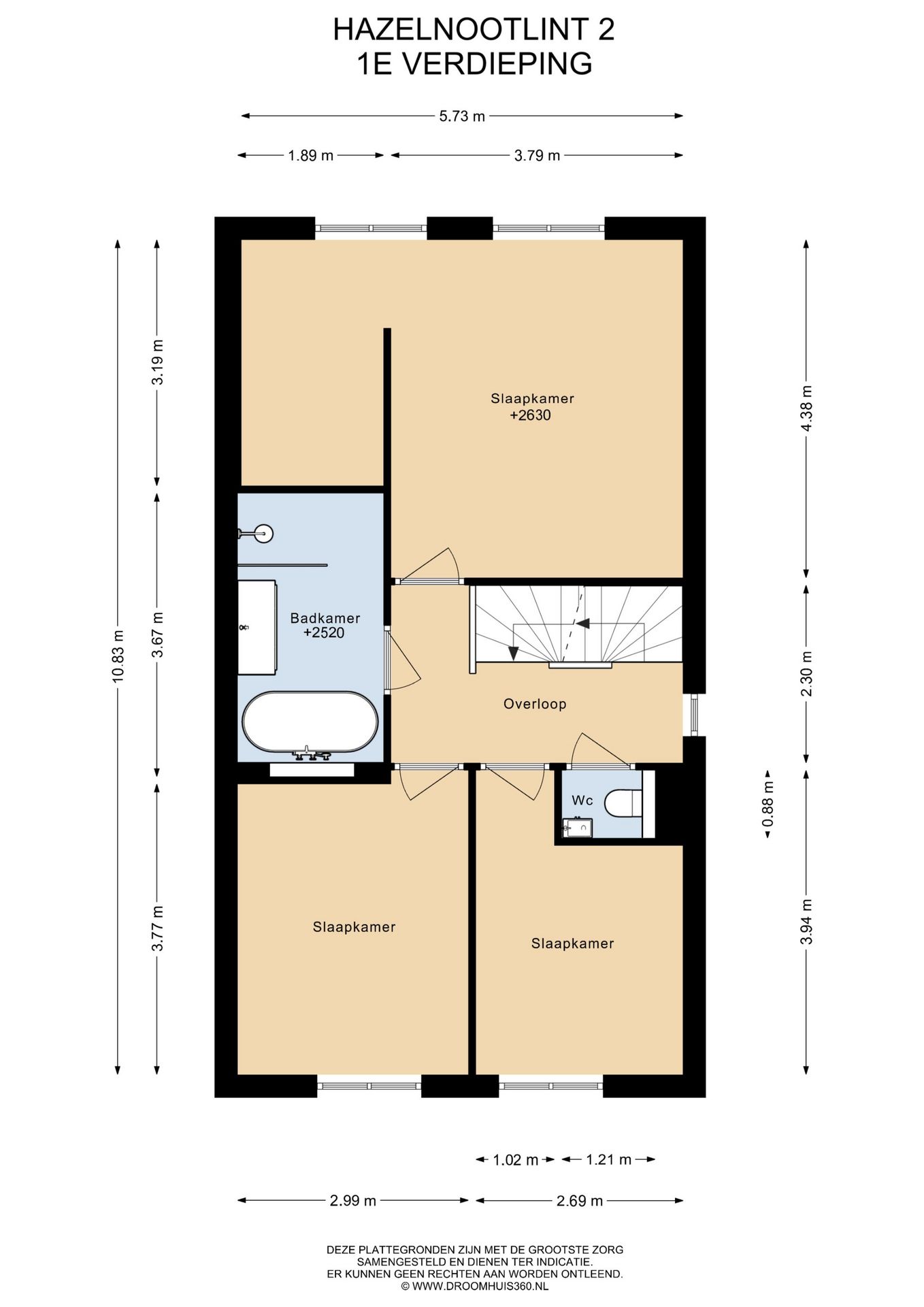 Foto 70 van Hazelnootlint 2