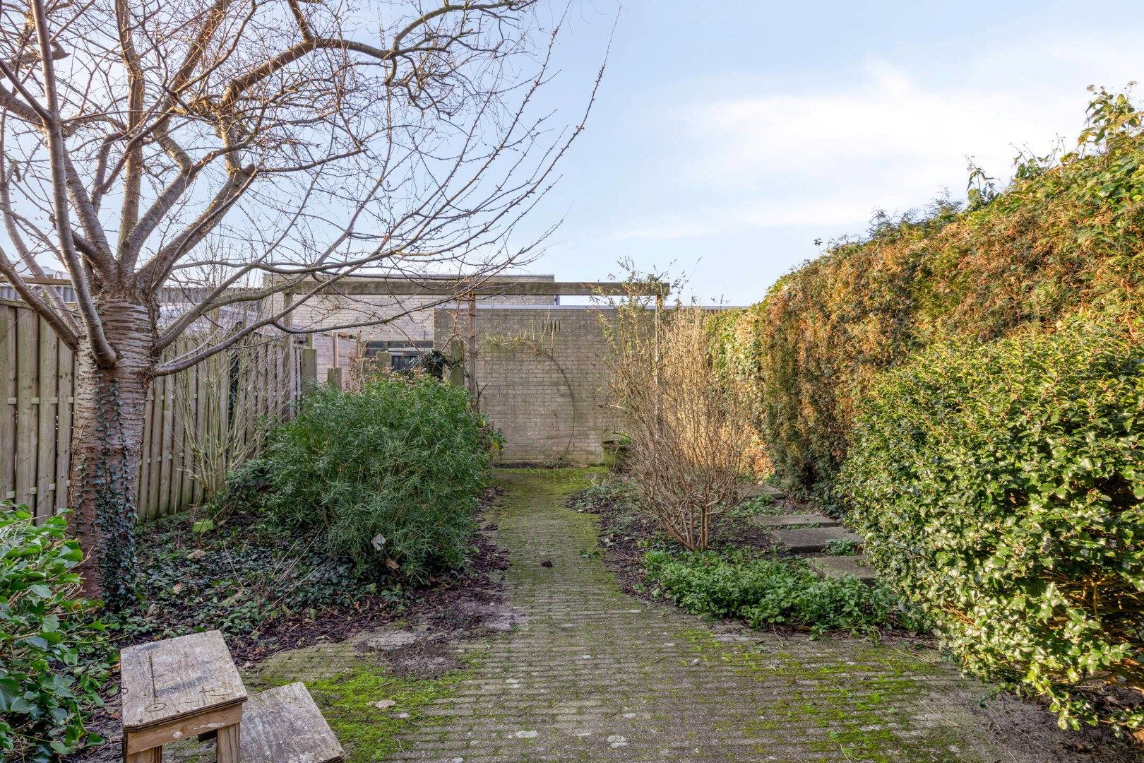 Photo 39 of Donker Curtiusstraat 35