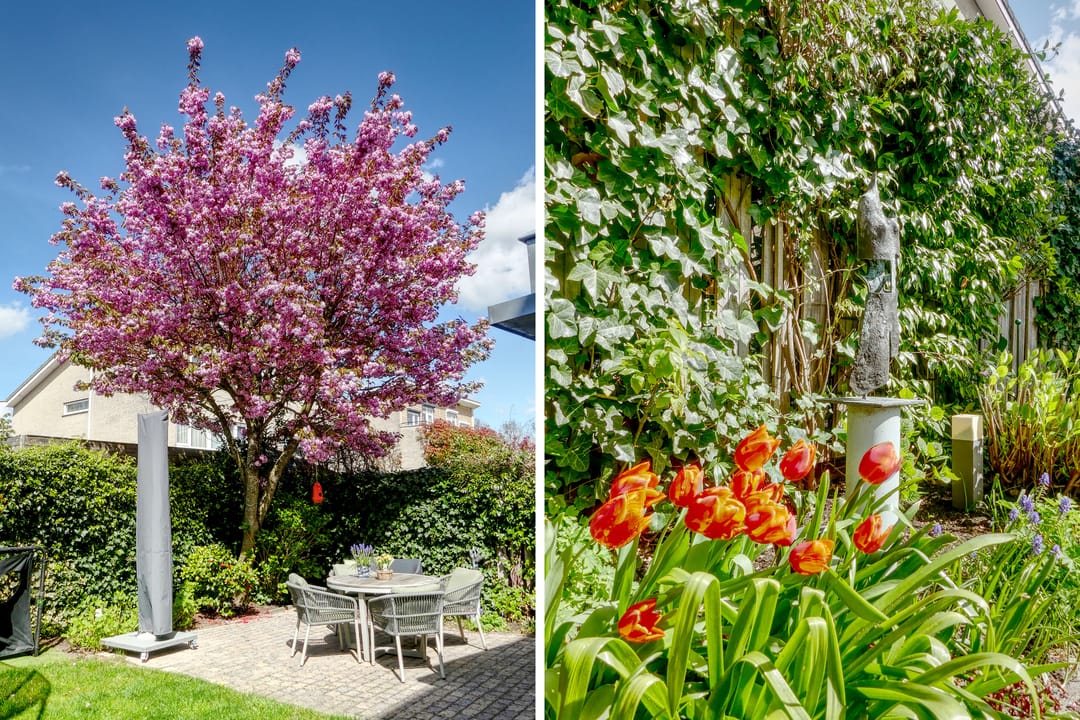 Foto 41 van Daltonstraat 7