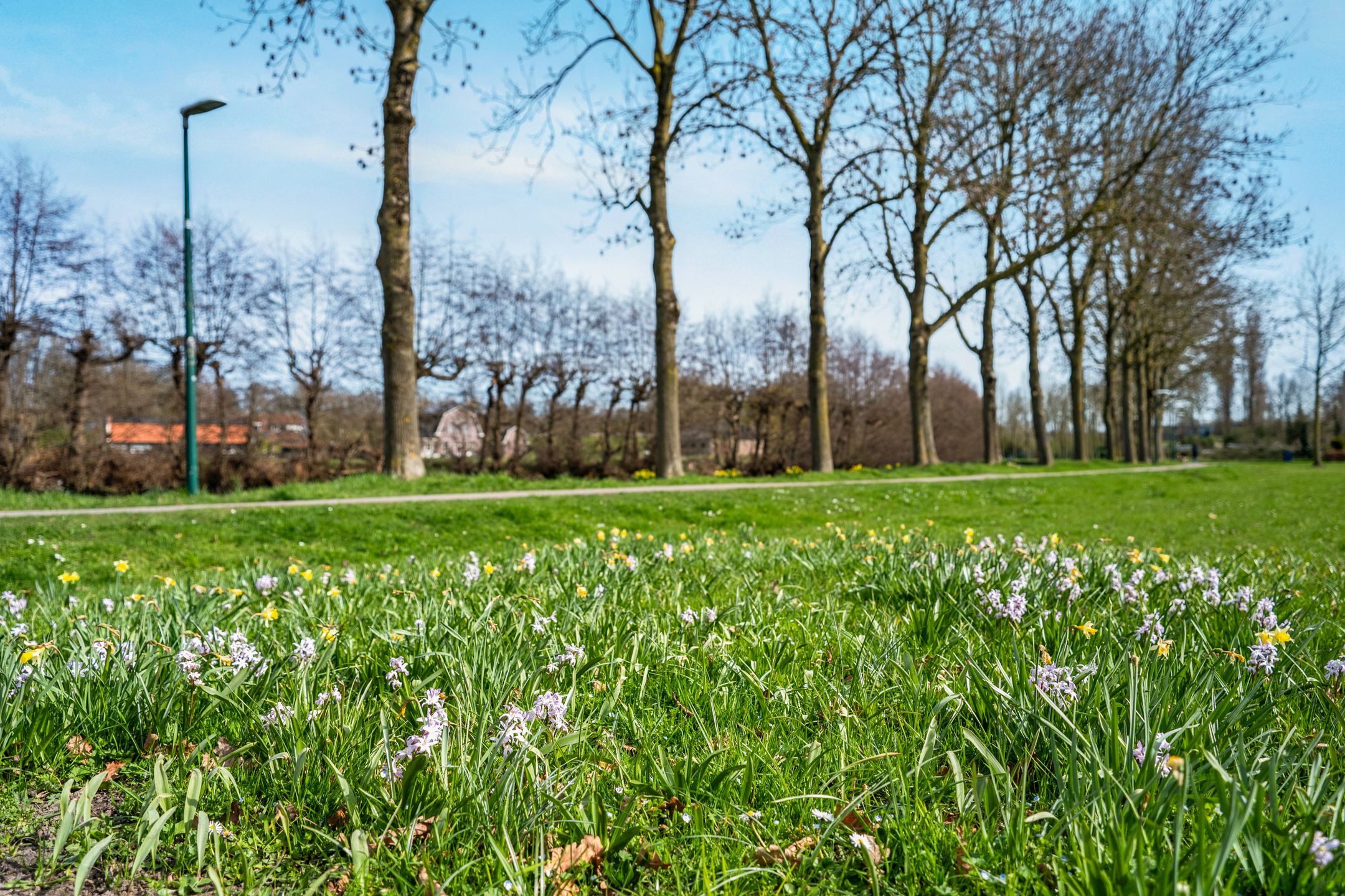 Foto 48 van Daltonstraat 7