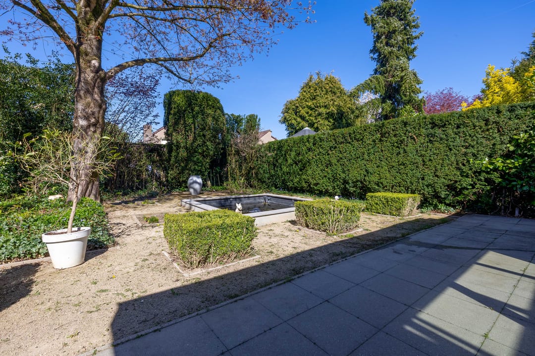 Foto 13 van Liviuslaan 12