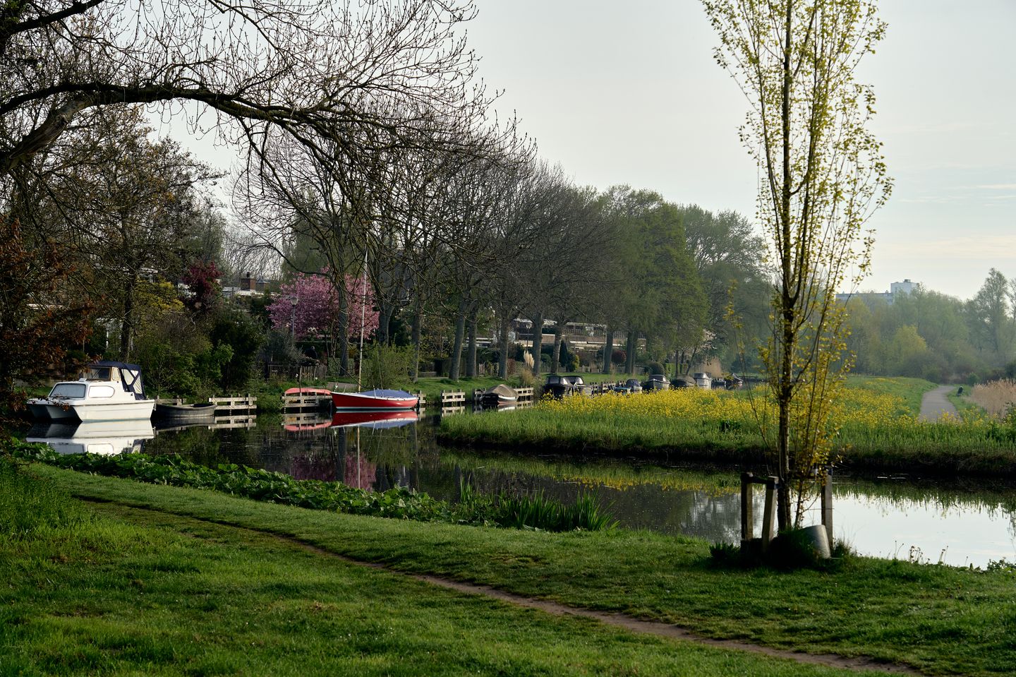 Photo 70 of Albert Schweitzerlaan 39