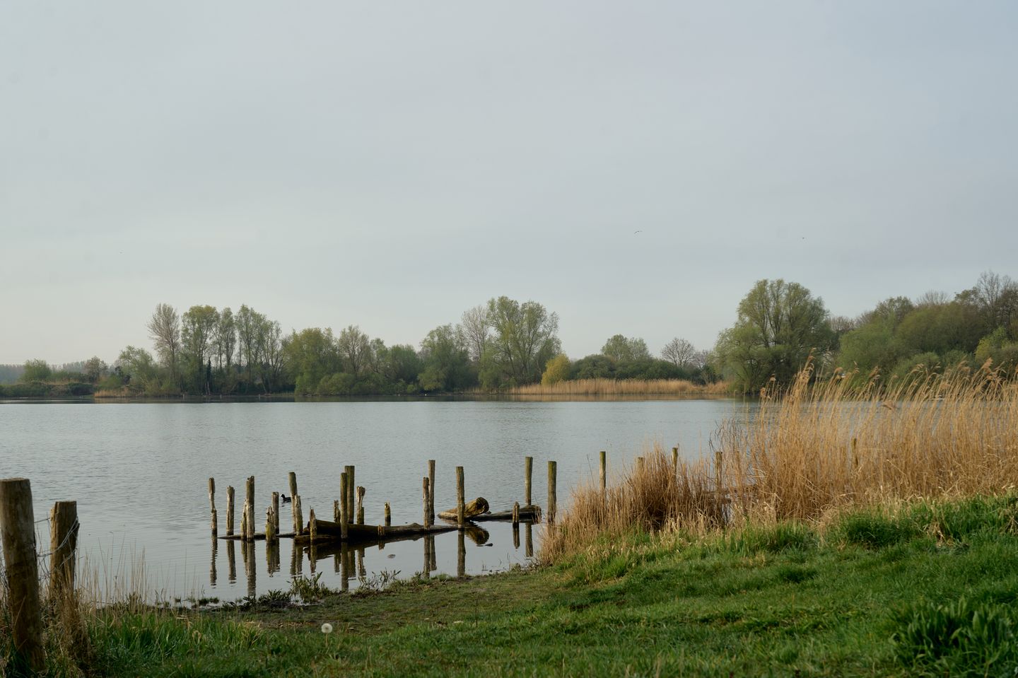 Photo 64 of Albert Schweitzerlaan 39