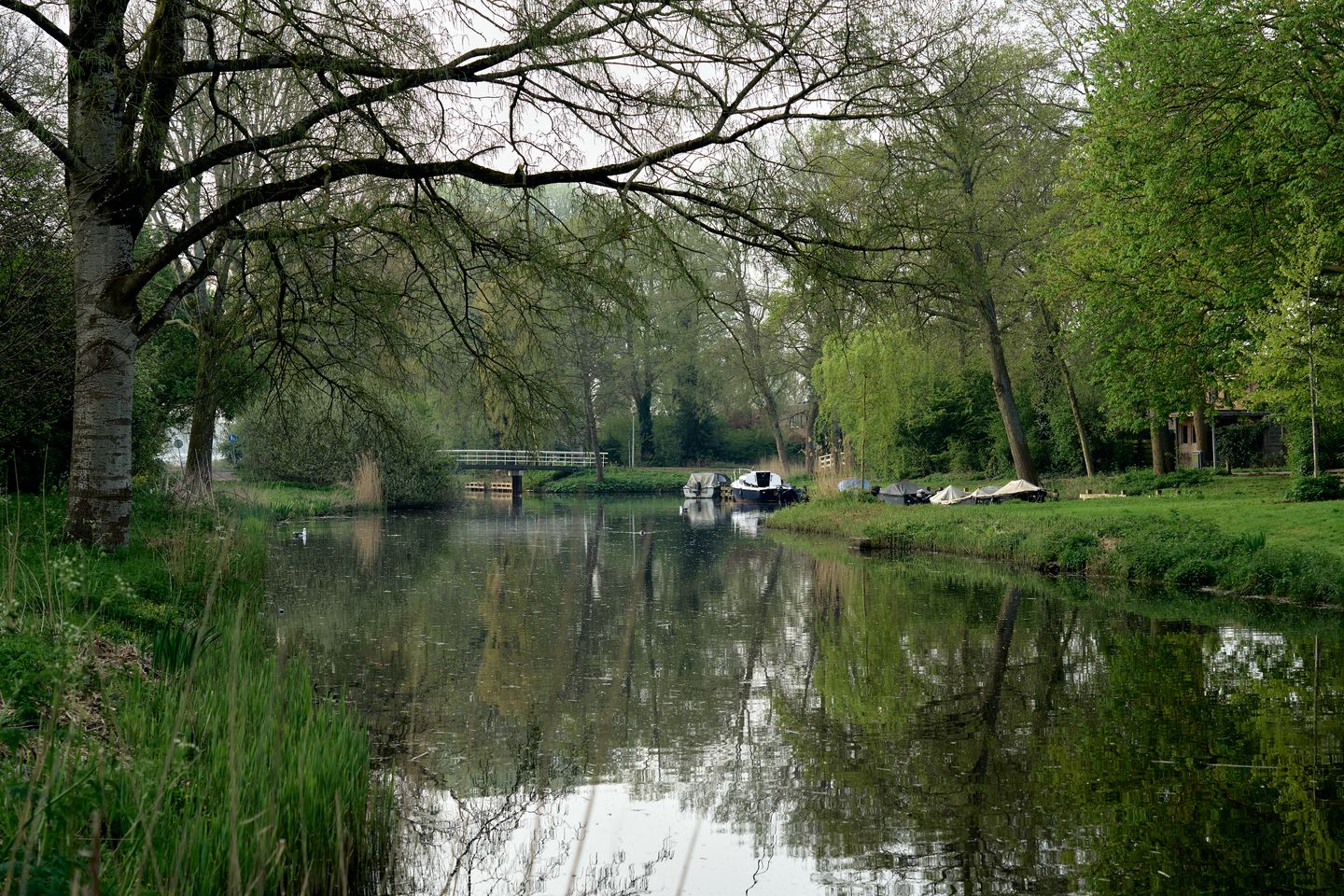 Photo 74 of Albert Schweitzerlaan 39
