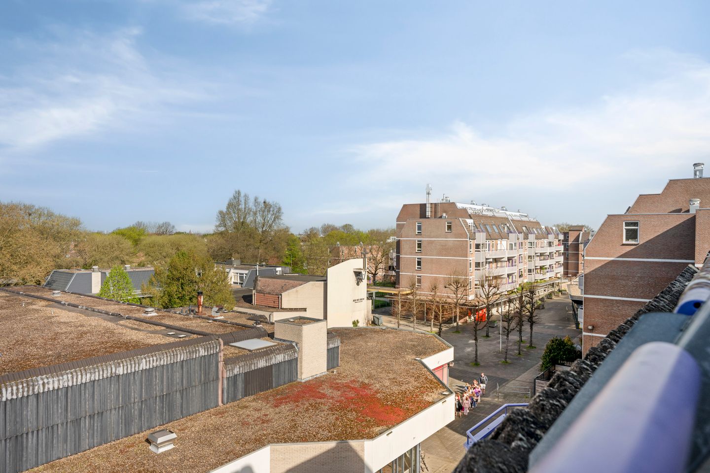 Foto 10 van Roserije 239-D