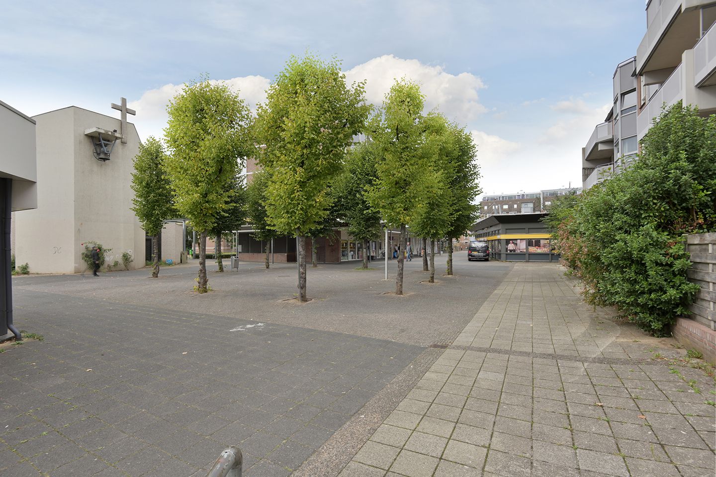 Foto 25 van Roserije 239-D