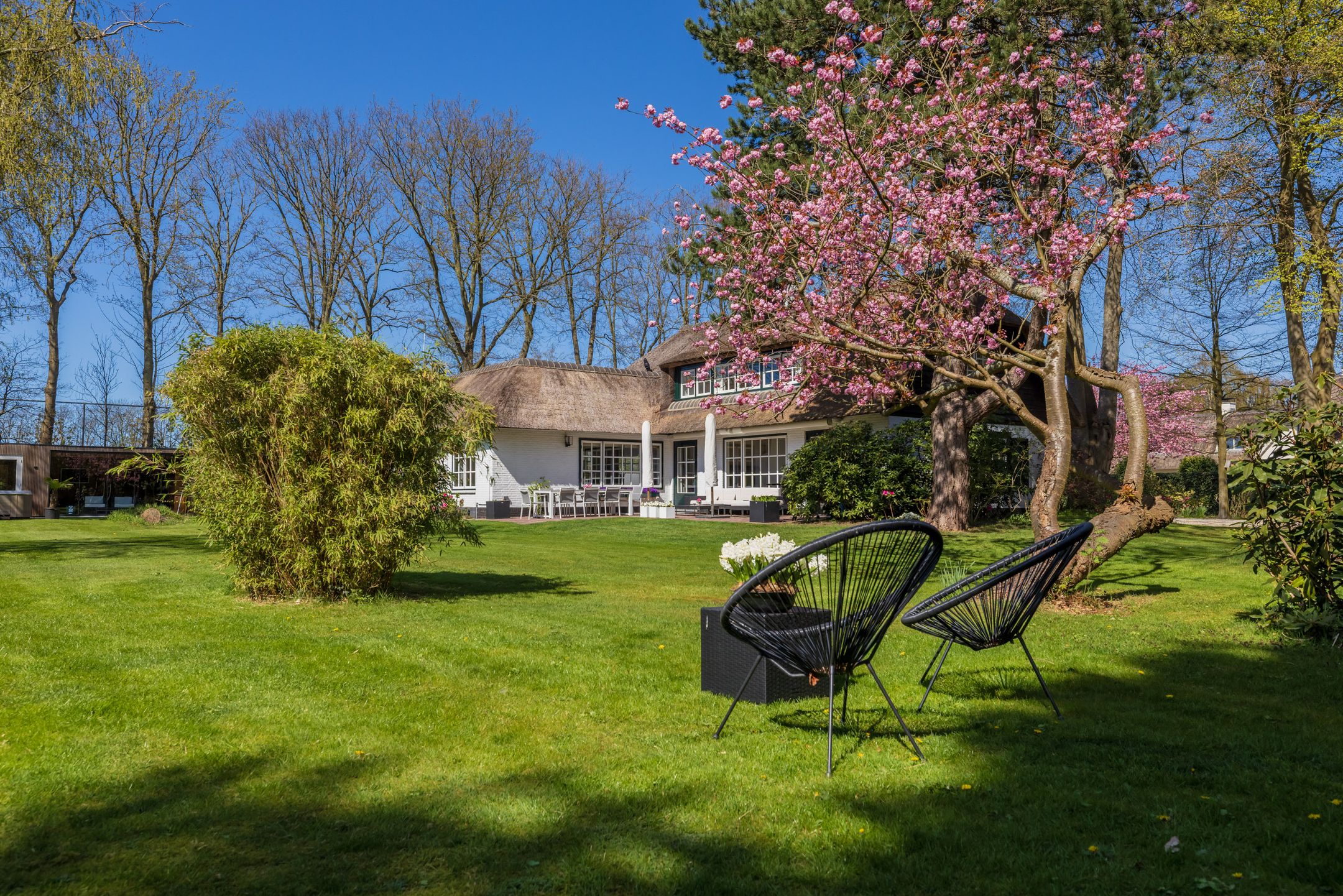 Foto 12 van Herenweg 96