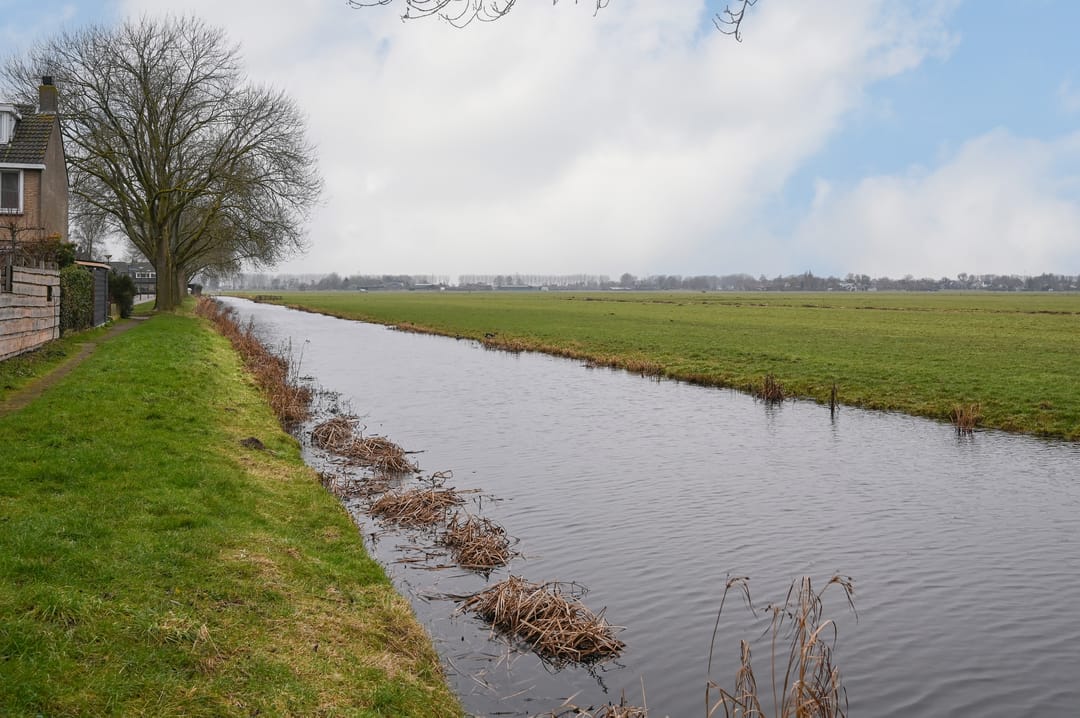 Photo 31 of Aelbert Cuypstraat 12