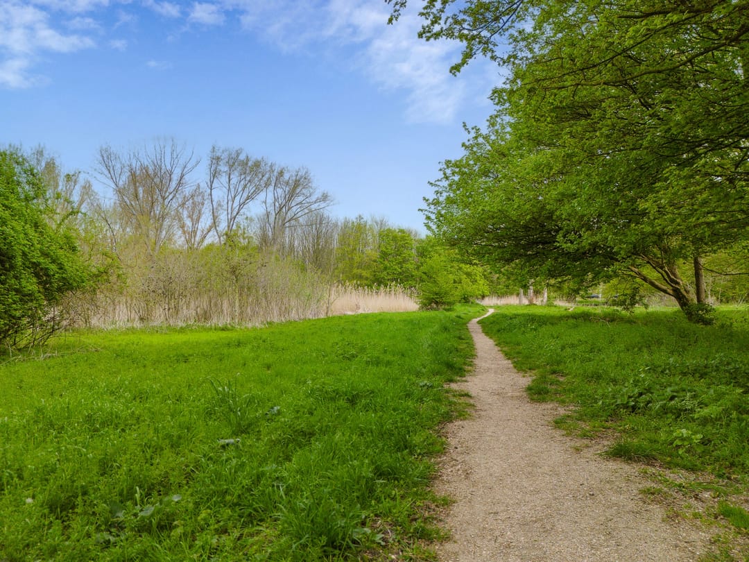 Photo 32 of Hogeweg 31