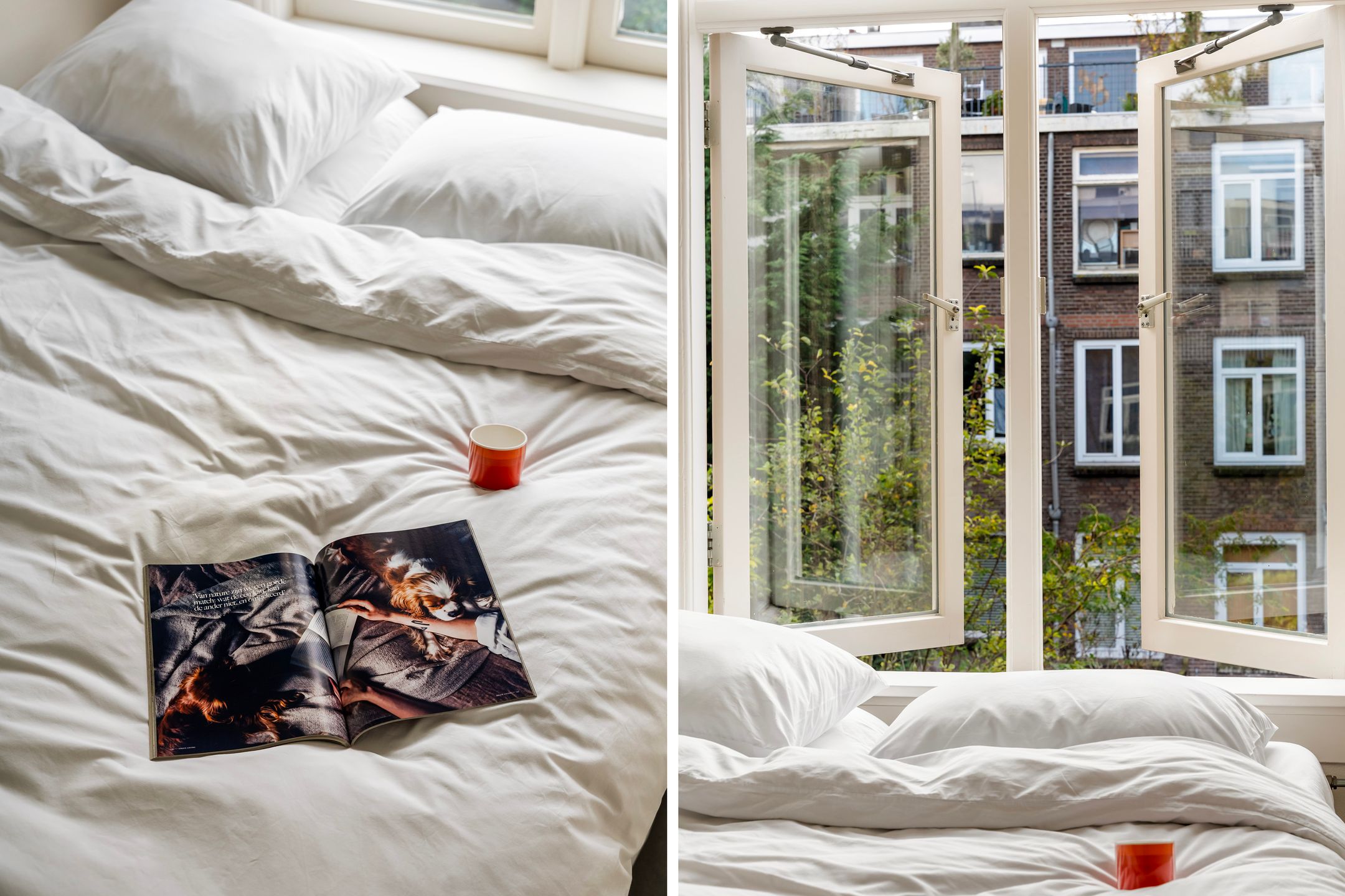 Foto 21 van Bijlwerffstraat 38-B