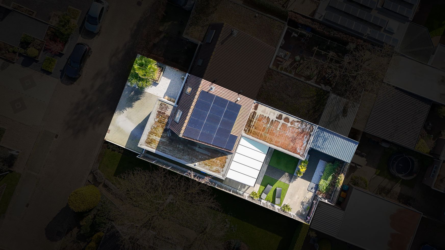 Foto 3 van de Bogerd 4