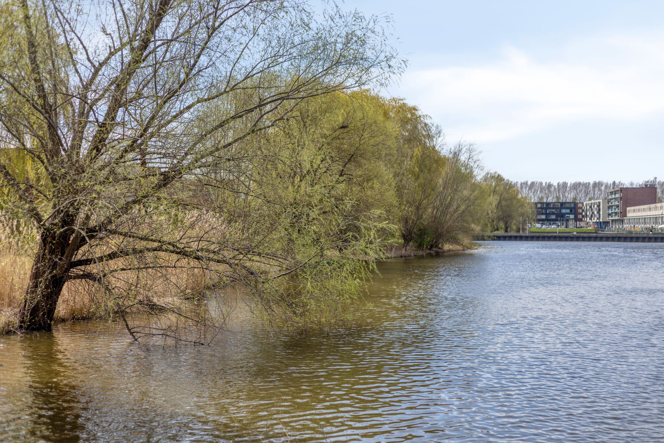 Foto 42 van Paulus Potterstraat 107