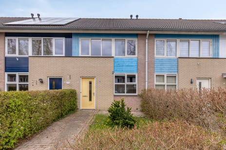 Paulus Potterstraat thumbnail