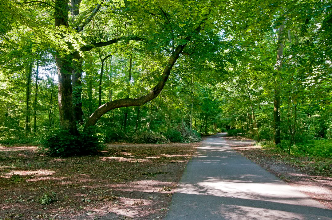 Foto 56 van Zandvoorter Allee 262