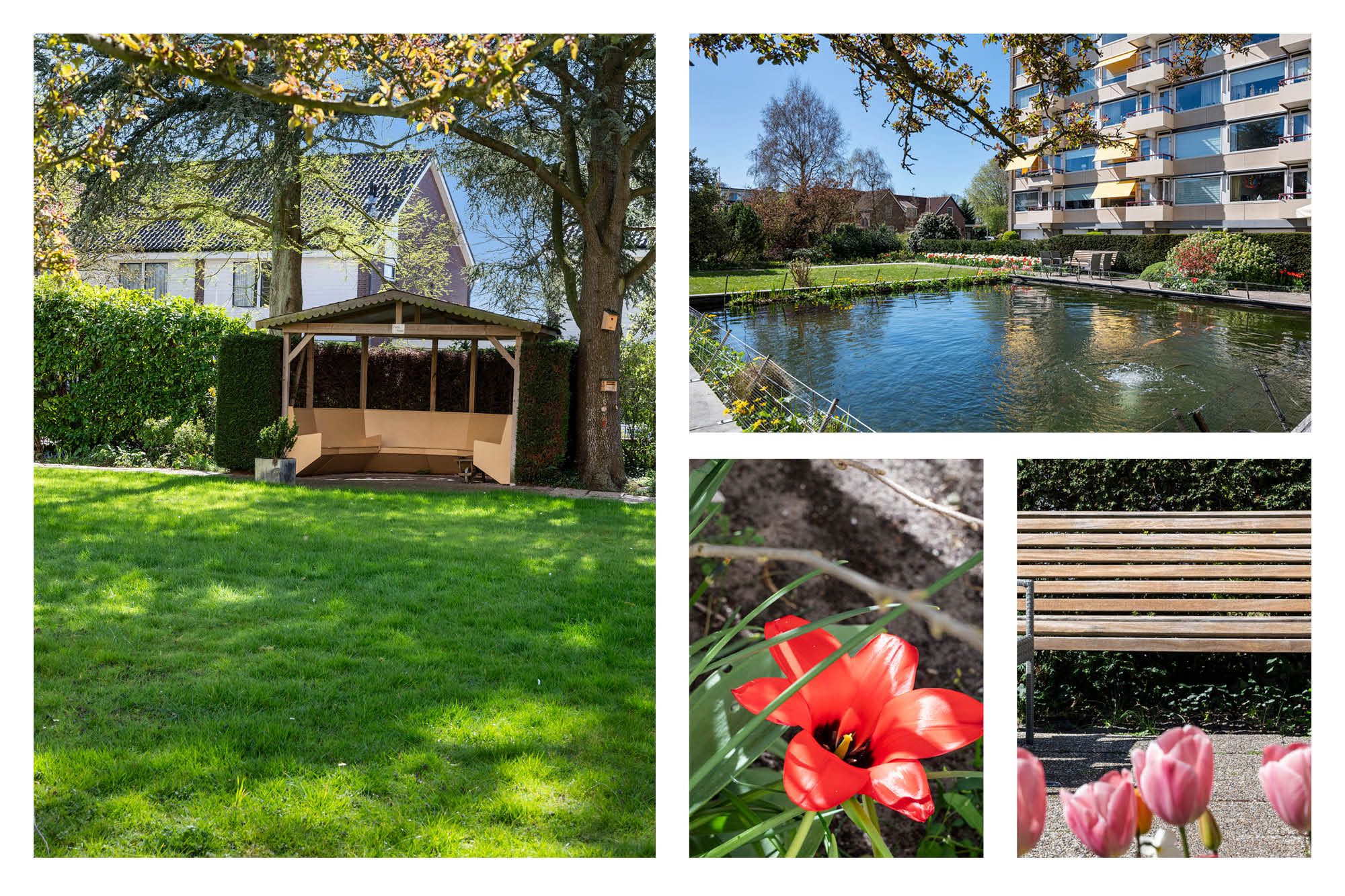 Foto 42 van Zandvoorter Allee 262