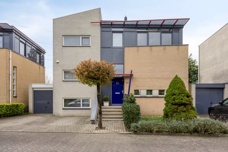 Timmermansingel thumbnail