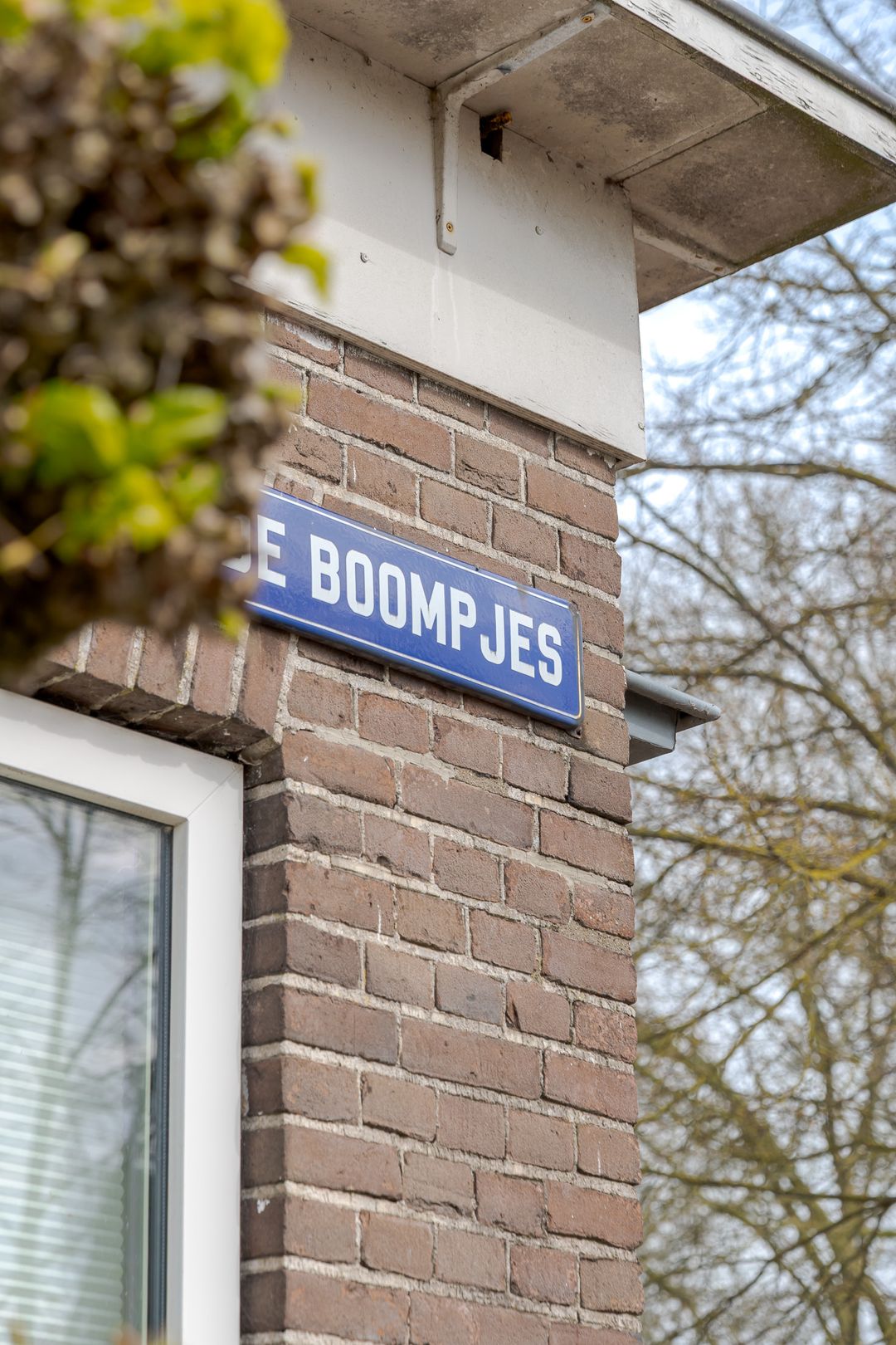 Foto 43 van De Boompjes 11
