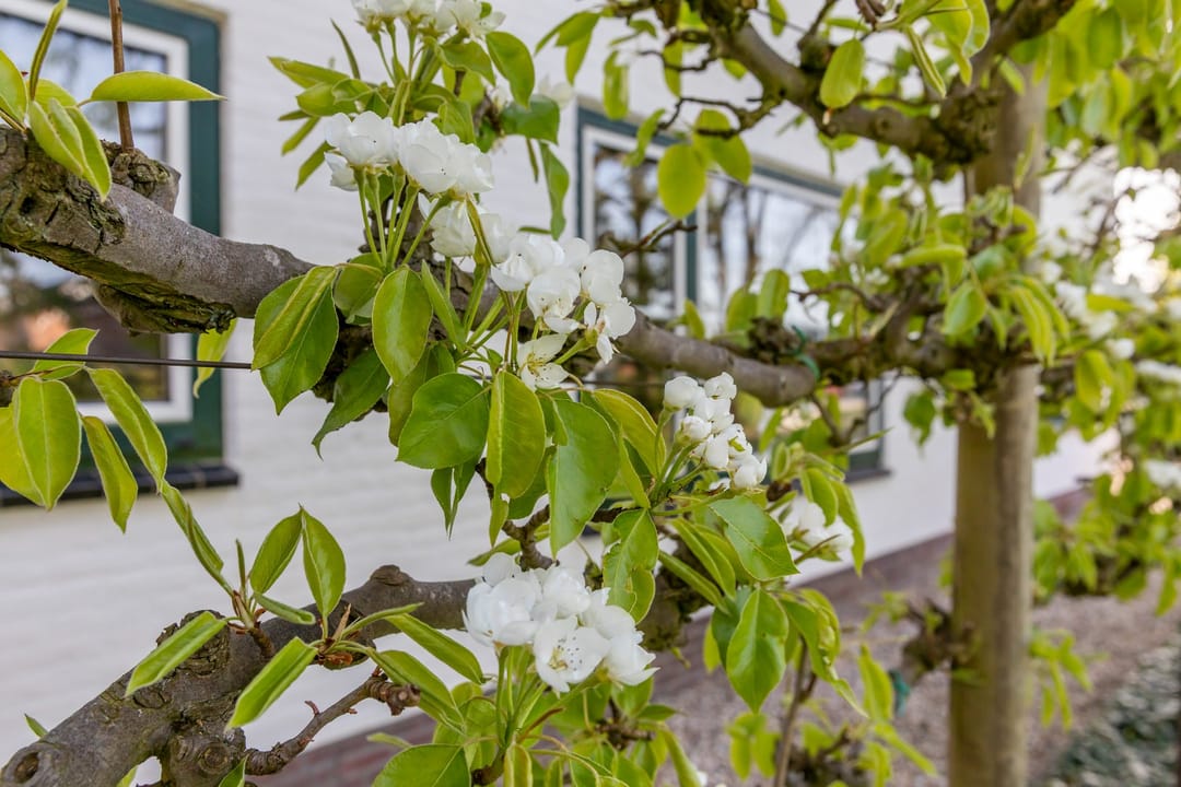 Foto 56 van Broekdijk 44