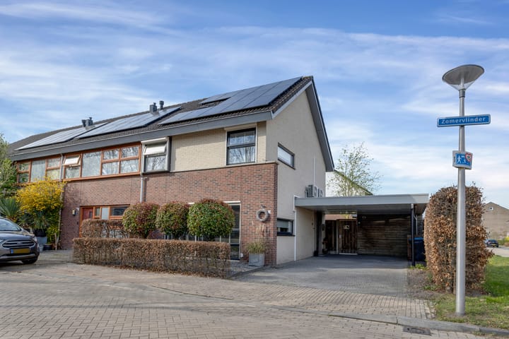 Zomervlinder 23 main image