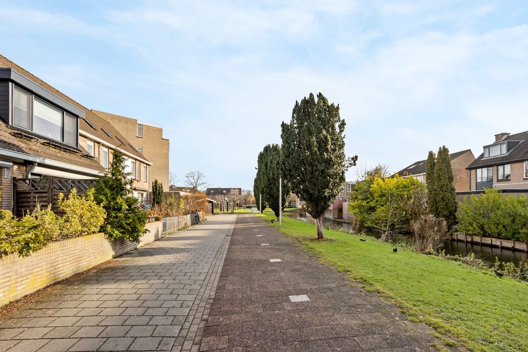 Photo 28 of Gladioolveld 14