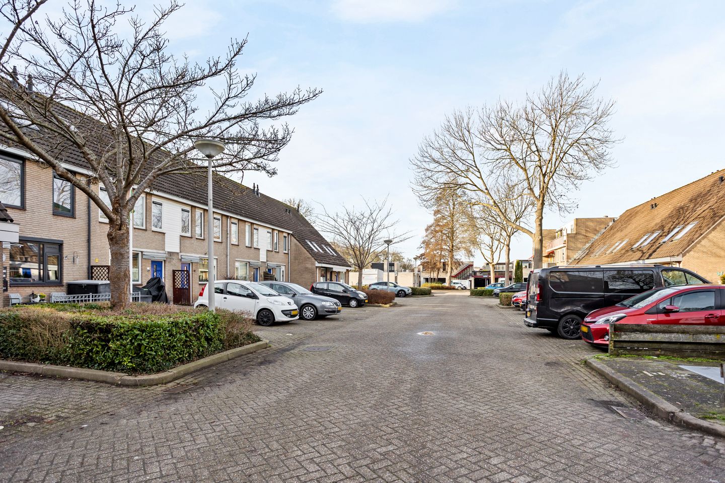 Photo 29 of Gladioolveld 14