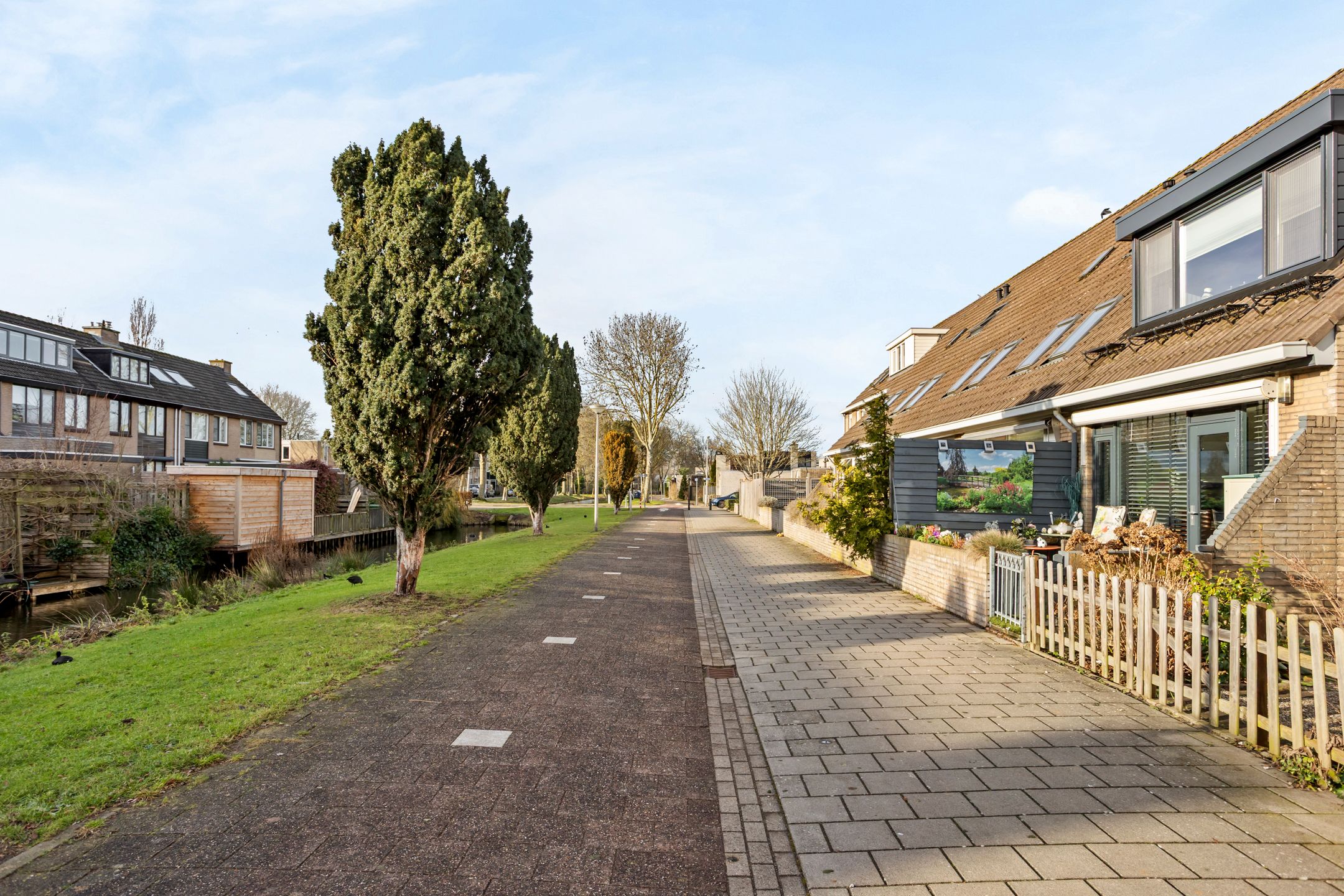 Photo 27 of Gladioolveld 14