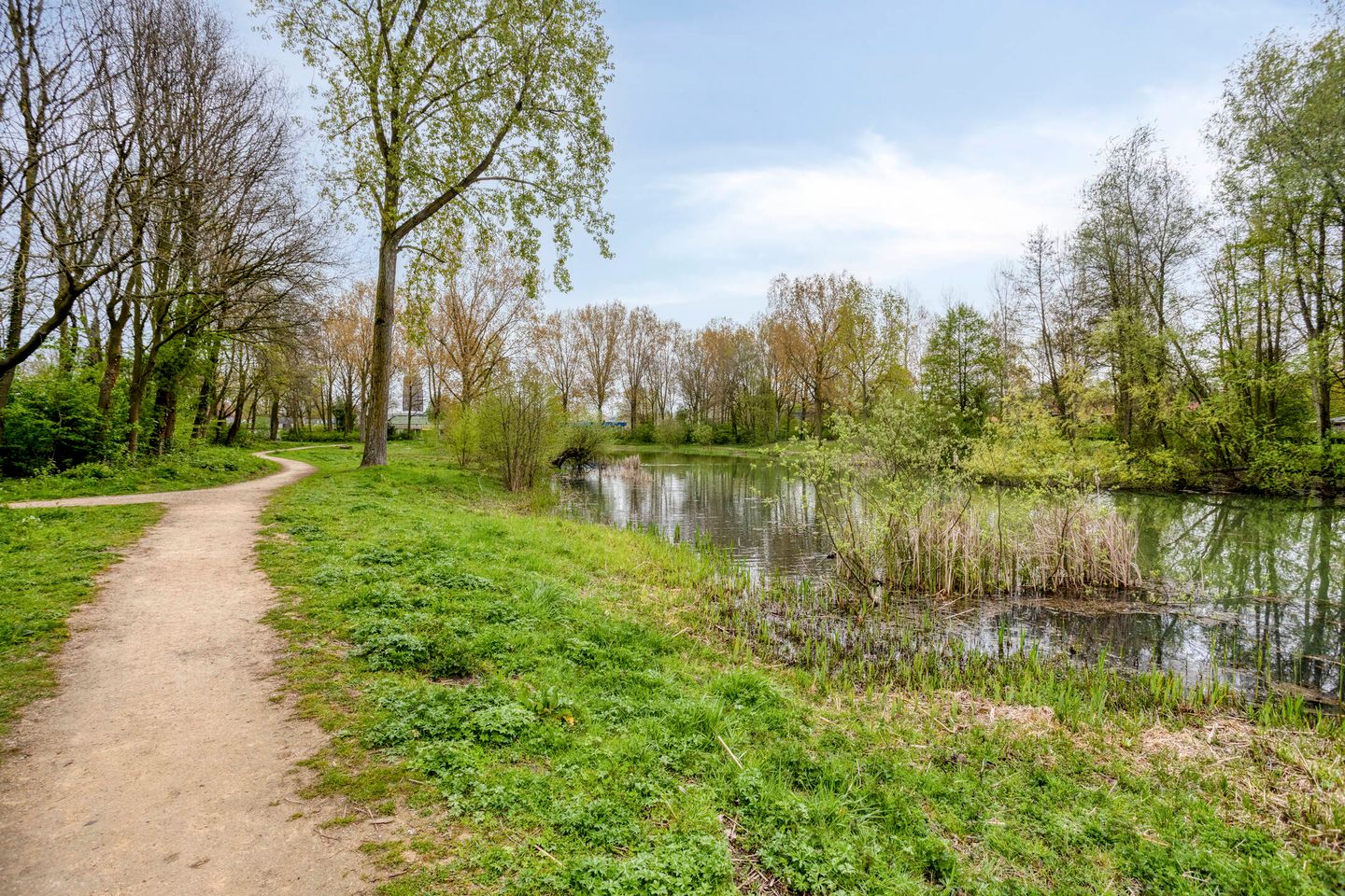 Foto 49 van Topaas 3