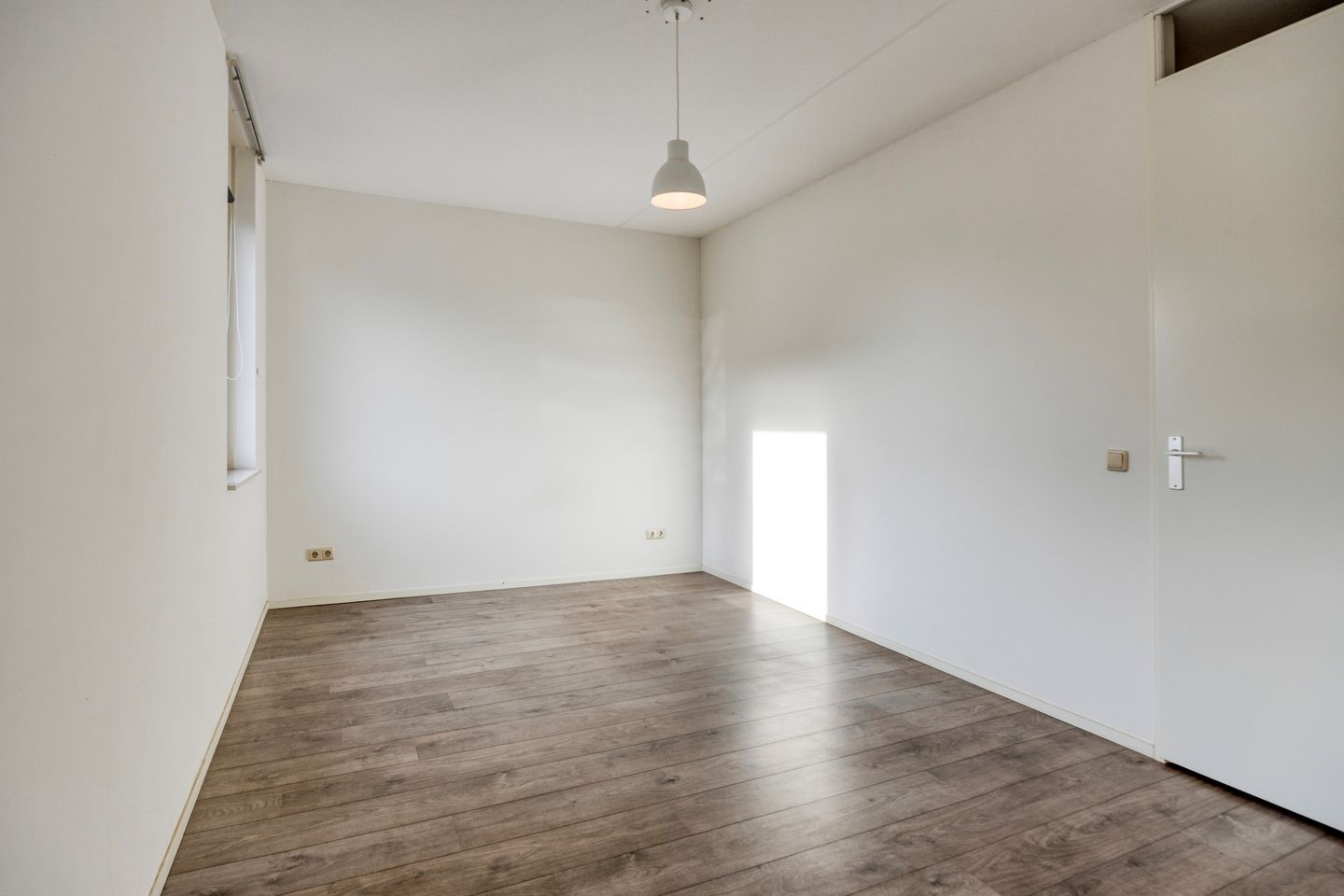 Foto 14 van Groene Specht 33