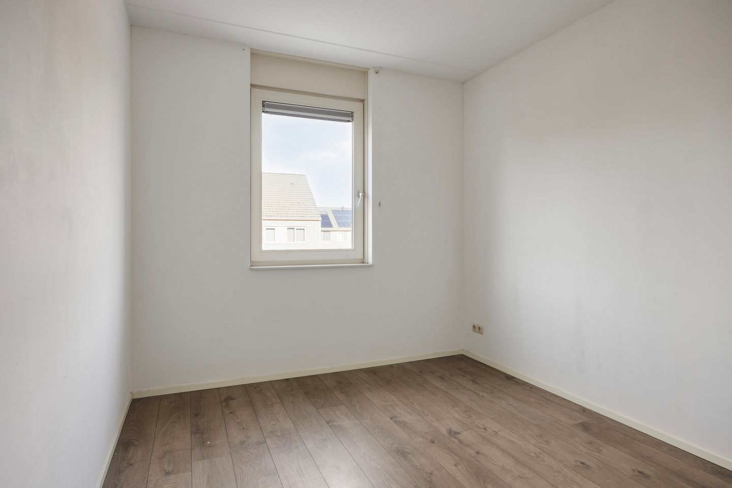 Foto 19 van Groene Specht 33